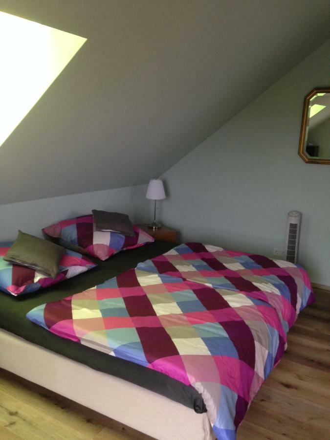 Loreley Bed And Breakfast Bornich Kültér fotó
